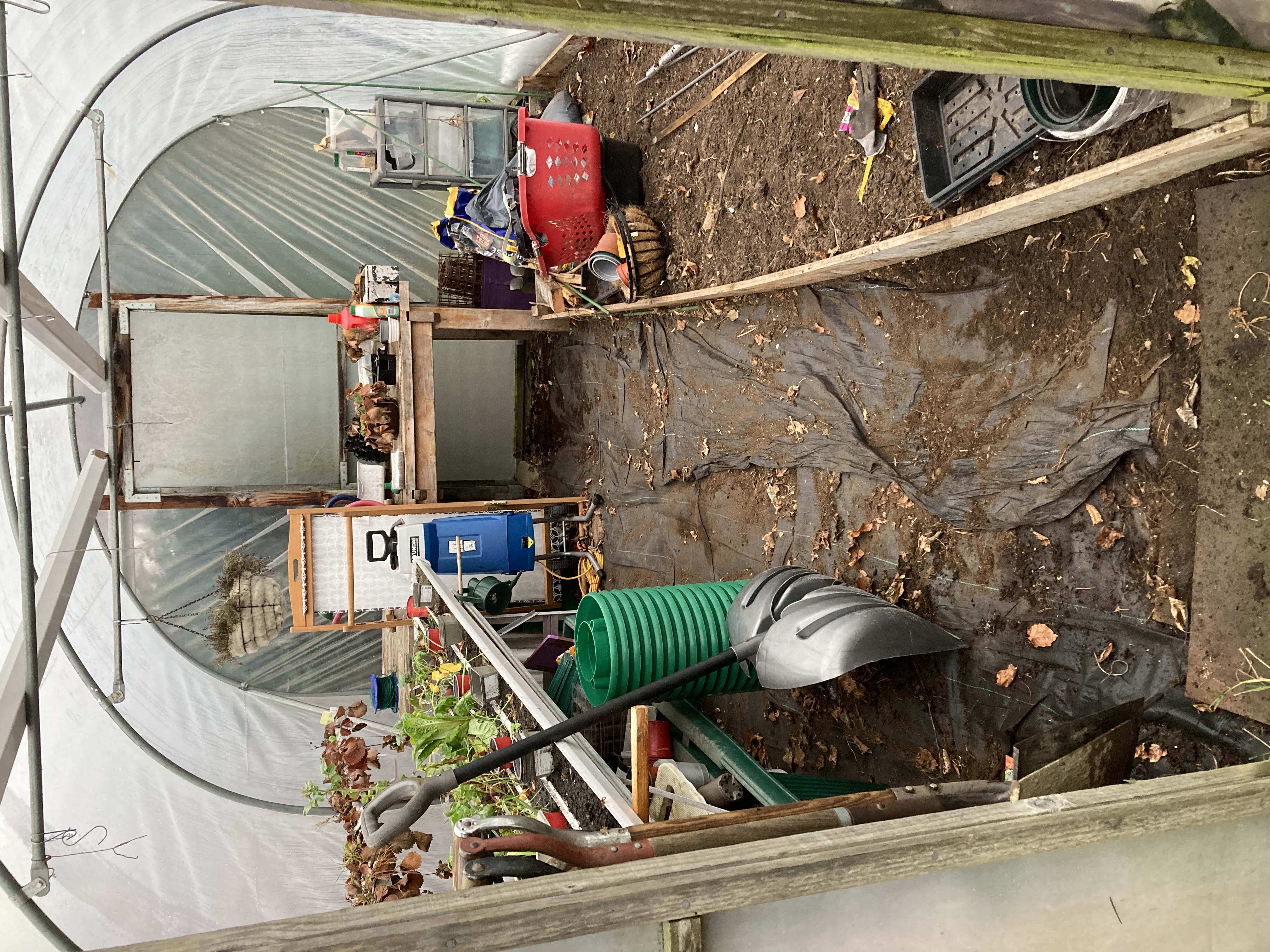 slightly cleaner polytunnel